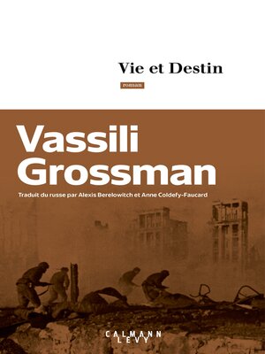 cover image of Vie et destin